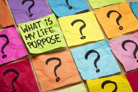 Choose Your Purpose: Nonfiction Writing Prompt #28